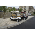 2 Seater Gasoline or Gas Powered Golf Carts