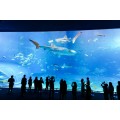 Grand tunnel acrylique transparent personnalisé dans l&#39;océan Aquarium