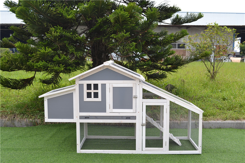 Factory direct chicken coops