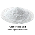 Natural Plant Hormone Gibberellic acid