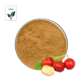 Freeze Dried Hawthorn Berry Powder Extract