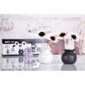 Fragrance Oils with Ceramic Jar Flower Diffuser