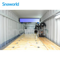 Snow world 7.5T Containerize Block Ice Machine