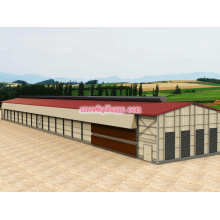 Prefabricated Poultry House with Steel Structure and Automatic Equipment