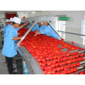 Linha de Produção de Pasta de Tomate (Ketchup)