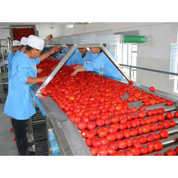 Linha de Produção de Pasta de Tomate (Ketchup)