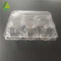 clear biodegradable 6 pack large egg cartons