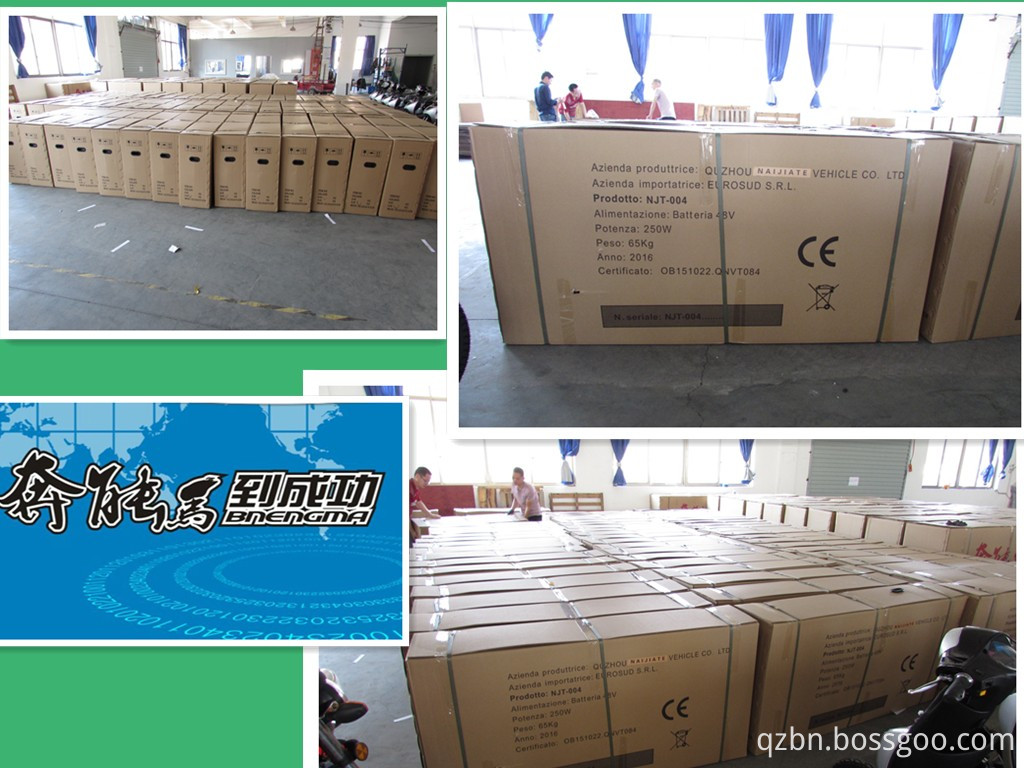 48v20a battery electric bicycle