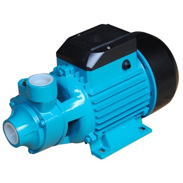 (QB60) High Quality Cast Iron Household Peripheral Water Pump