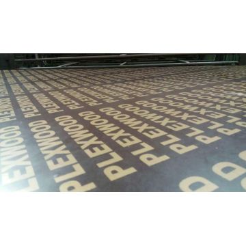 China Factory Direct Top Quality Film Faced Plywood