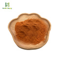 Organic Shitake Mushroom Extract Powder Polysaccharides 20%