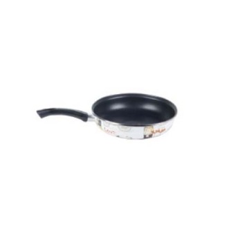 Steel Enamel Frypan