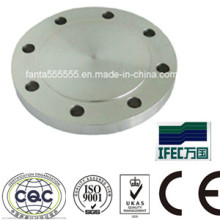 Stahl geschmiedeter Flansch (IFEC-FL100001)