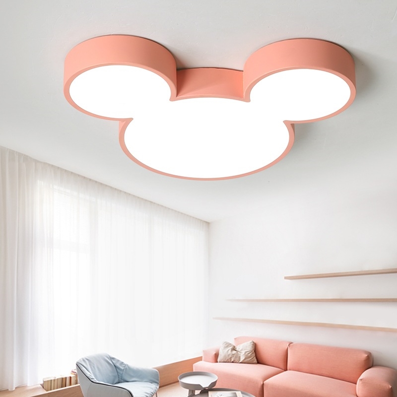 Application Ceiling Light Fixtures