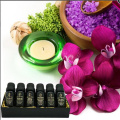 presente de aromaterapia óleo essencial define 6 pacote