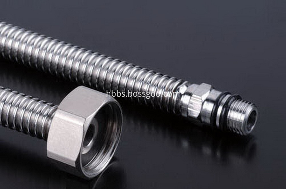 Flexible SS Metal Hose