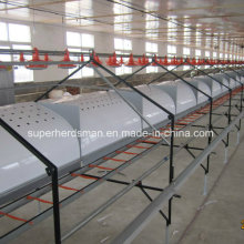 Modern Automatic Poultry Equipment Laying Nest for Layer and Breeder