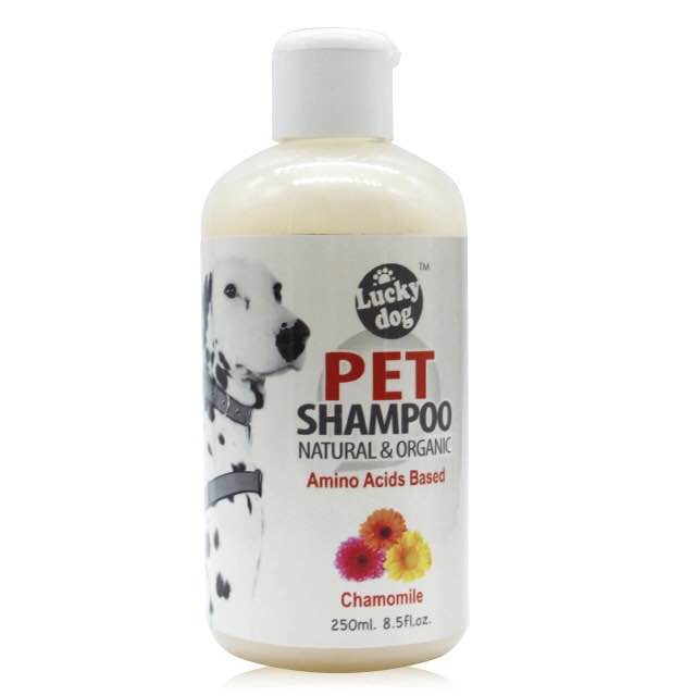 Pet Shampoo