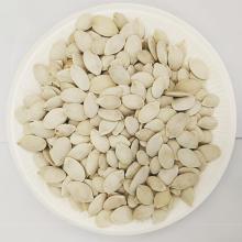 High Quality Pumpkin Seeds