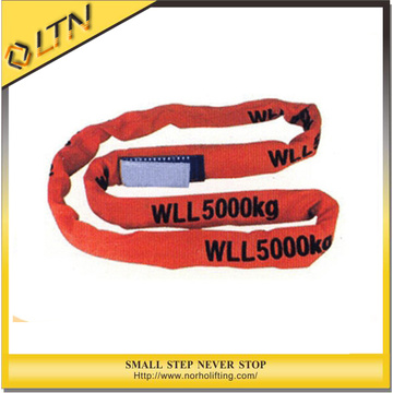 High Quality Polyester Lifting Round Webbing Sling (NHRS-B)