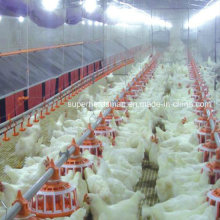 Automatic Poultry Laying Nest for Breeder and Layer