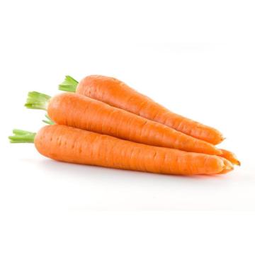 New Crop Fresh Carrot