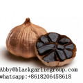 Vegetable Products Black Garlic Fermentated