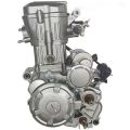 Customized ATV UTV250CC water-cooled engine
