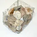 PVC beschichtetes Drahtgitter hexagonales Netz Gabion Box