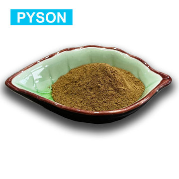 Lemon Balm Folhe Extract Powder Benefícios para o sono