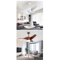 Modern Style home ceiling fan light