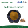 Teor de betaína 4% Radix Coccis Extract