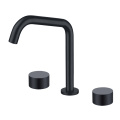 Double Handle Black Faucet in Bathroom