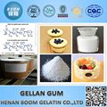 Popular Food additive organic low/high acyl Gellan gum