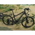 Hot selling 26 inches electric bicycles