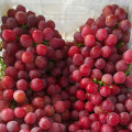 Food Fruits Red Grape Fresh