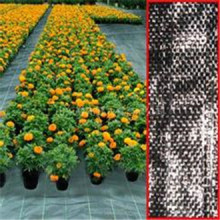 Landwirtschaft Weed Barrier Stoff Mulch Stoff mit hydrophilen PP Vlies / 100% PP Polypropylen Gewebe Gewebe