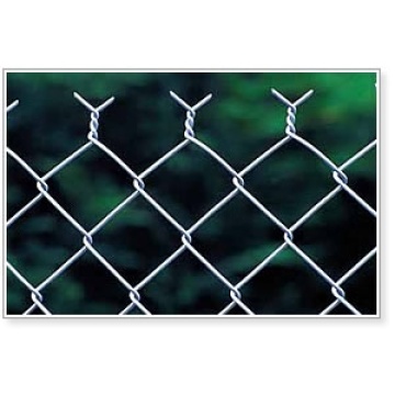 Galvanizado ou PVC Revestido Chain Link Fence para Animais