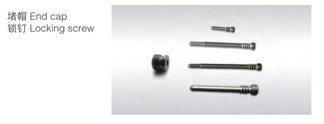 locking screw and end cap supracondylar intramedullary nail