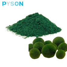 Additifs alimentaires poudre de chlorella