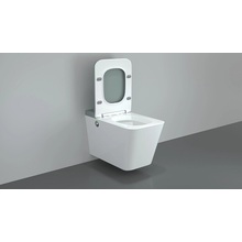 Wirtschaftliche moderne Badezimmer randlose Keramik Tankless Toilette