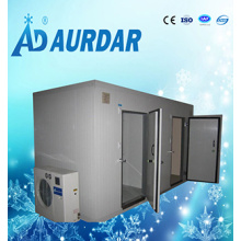 Commercial / Industrial Freezer Room / Blast Freezer Cold Room / Freezer Room