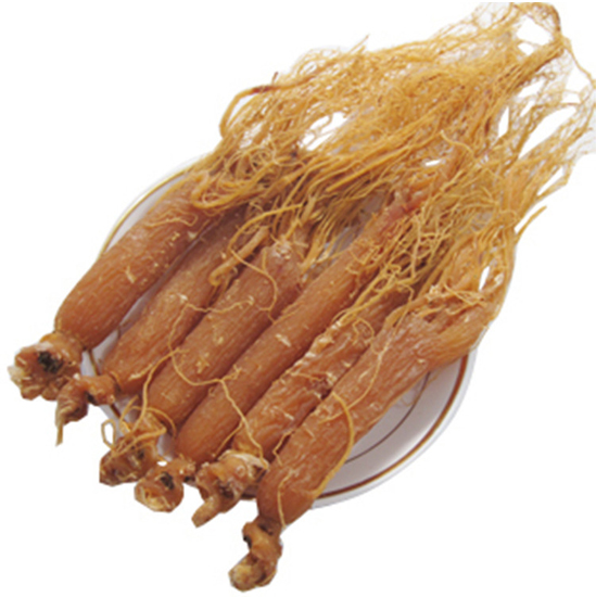 honeyed korea red ginseng slices