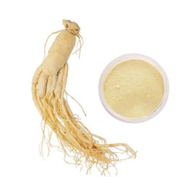 Extrato de ginseng