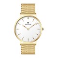 Lady Minimalist Wots Watch con Mesh Band