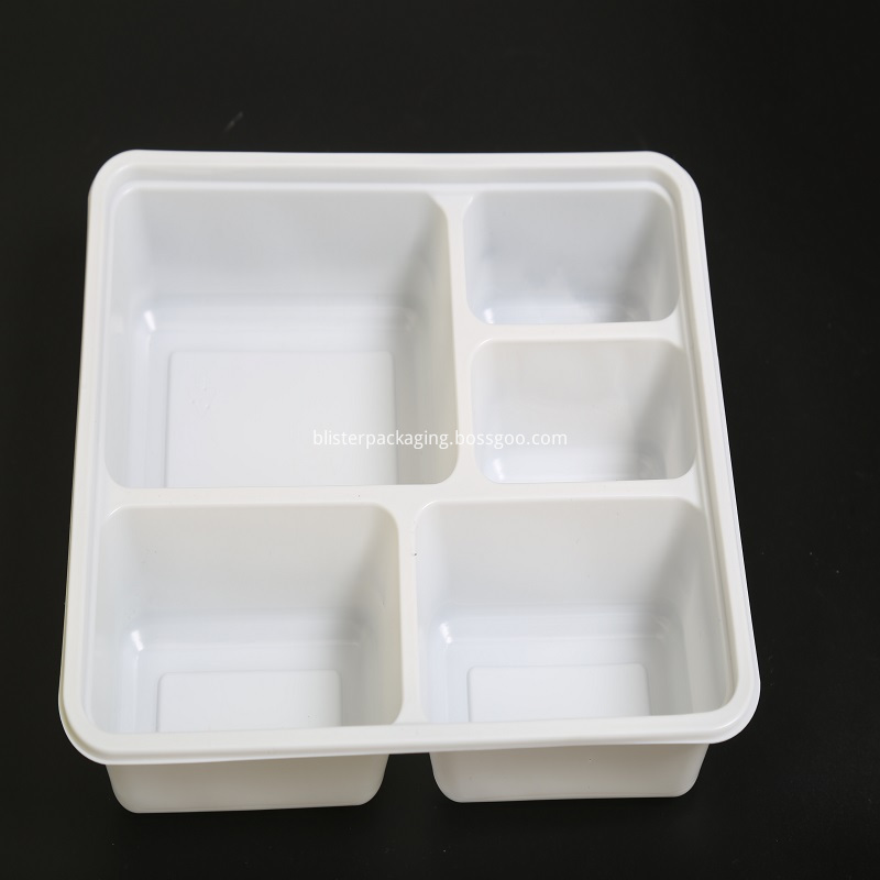 disposable food container