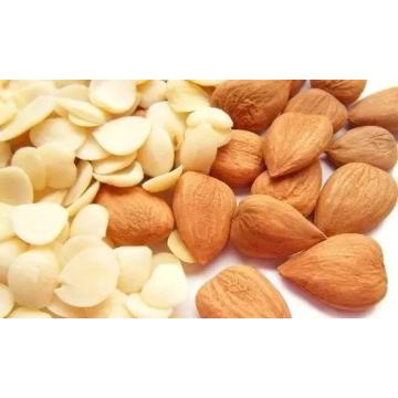 Bitter Apricot Kernels, Chinese Organic Almonds