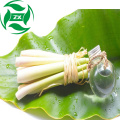 Natural Lemongrass Oil Customize Package Bulk Top Grade