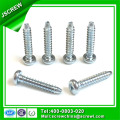 Trigonal Recess Pan Head Self Tapping Iron Screws