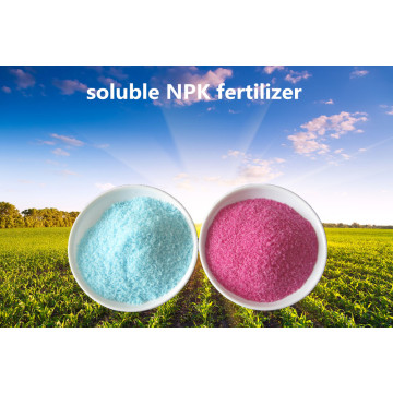 19-19-19 NPK en poudre Engrais soluble